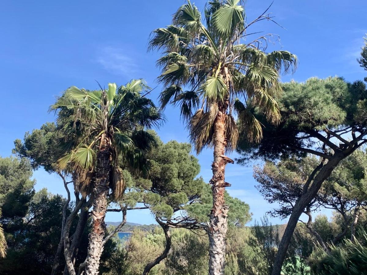 Bergerie Renove Clim Balneo Piscine Jardin Mediterraneen Appartement